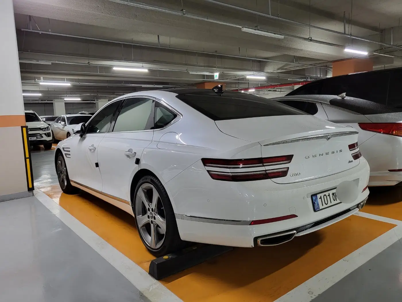 화이트 바디의 G80 후면모습