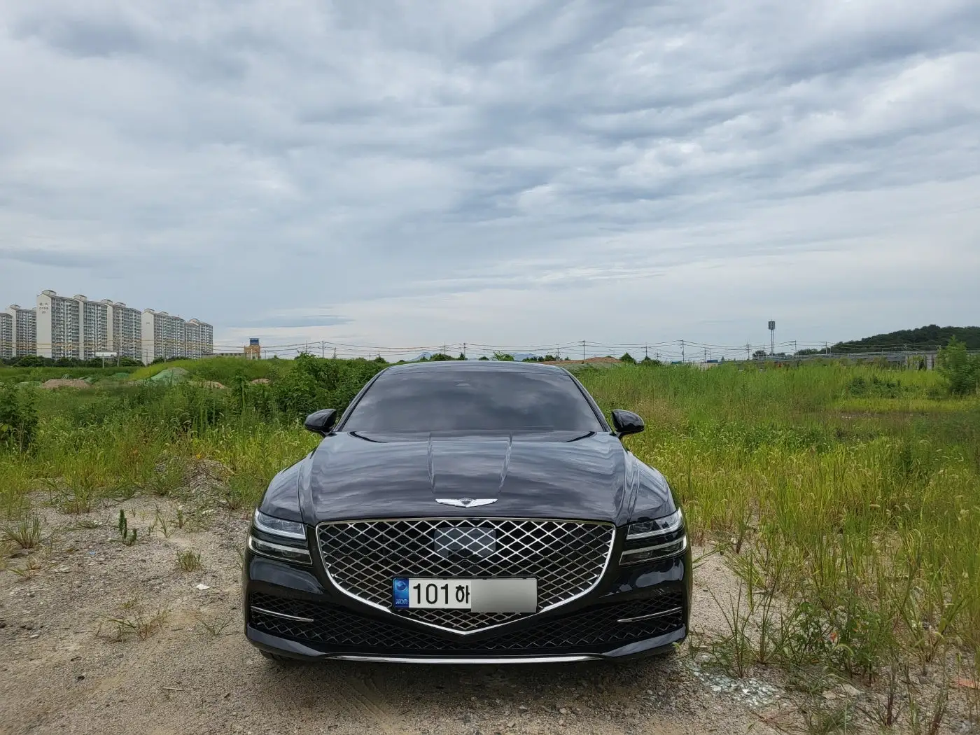 G80뒤로 배경이 좋아요