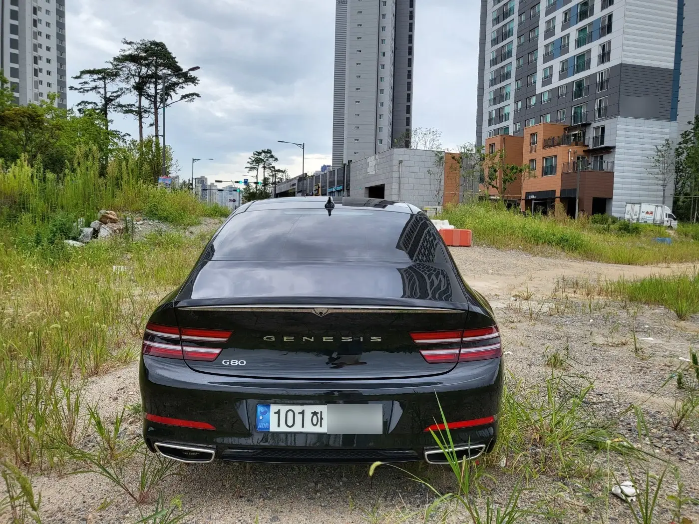 주변 장애물 없이 사진찍기 좋았던 위치